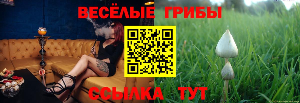 Галлюциногенные грибы Magic Shrooms  Вход с VPN  Гурьевск 