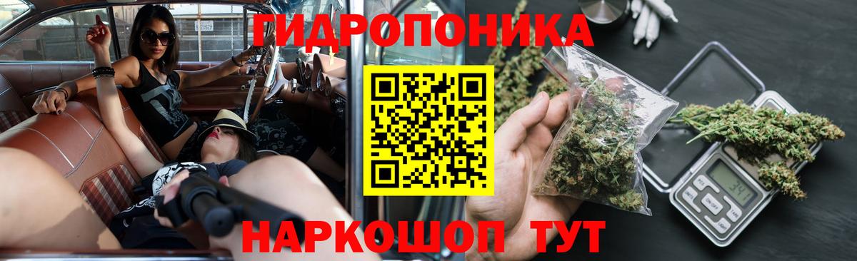Канабис семена  Каннабис индика  Гурьевск  Шишки марихуана индика  Вход с VPN 